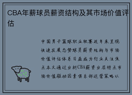 CBA年薪球员薪资结构及其市场价值评估